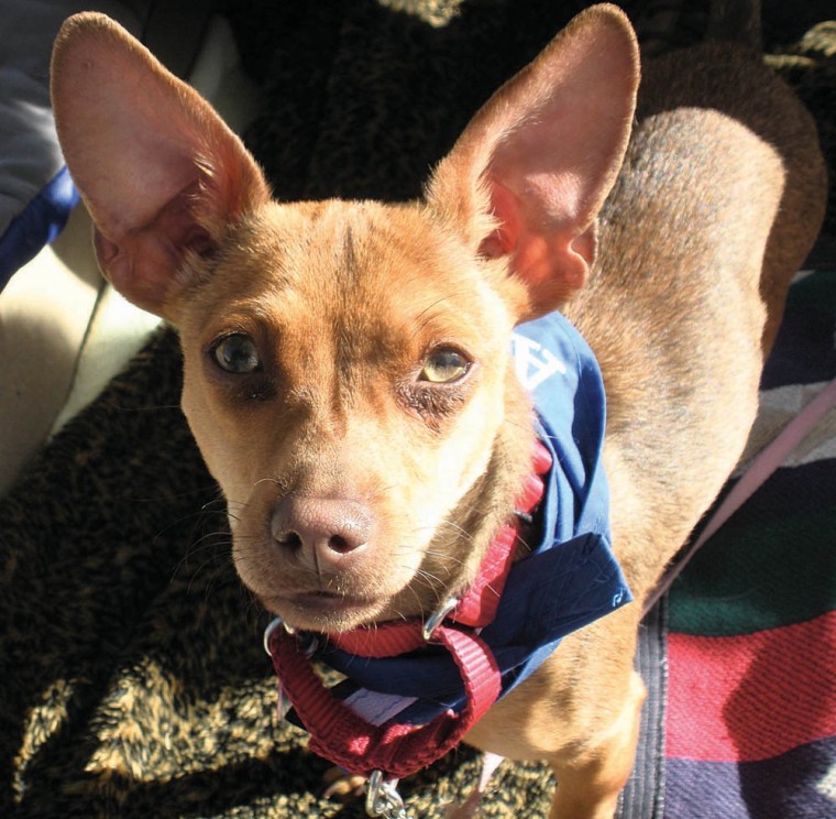 Someone to love: Chelsea